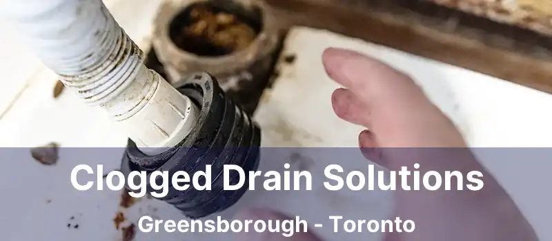  Clogged Drain Solutions Greensborough - Toronto