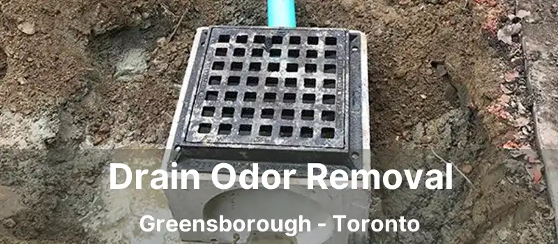 Drain Odor Removal Greensborough - Toronto